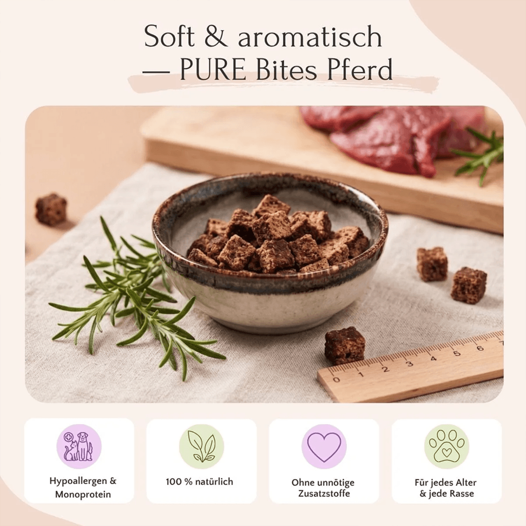 PURE Bites Pferd für Hunde