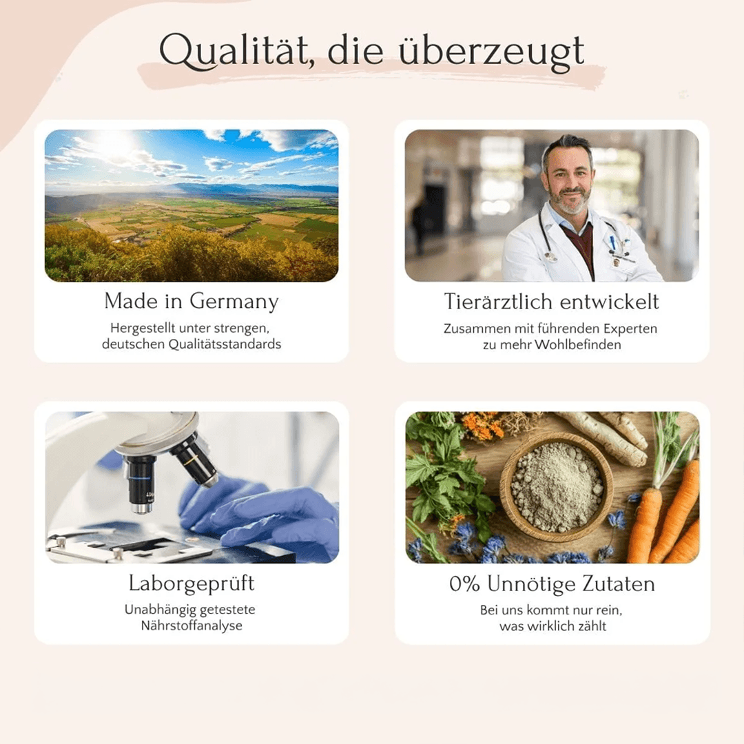 LongV+ Vitalstoffkomplex für Hunde