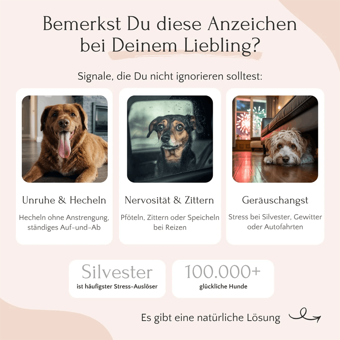 Relax Pulver für Hunde