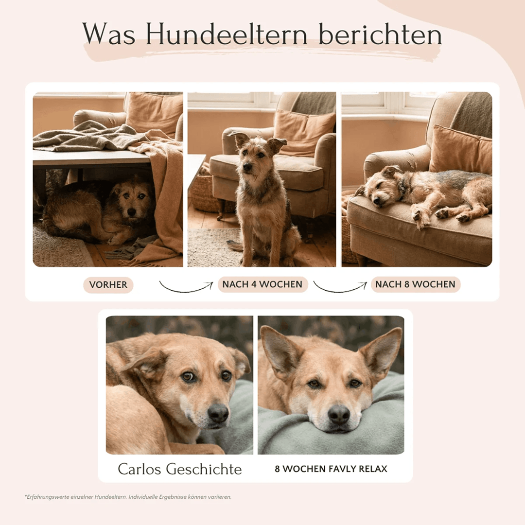 Relax Pulver für Hunde