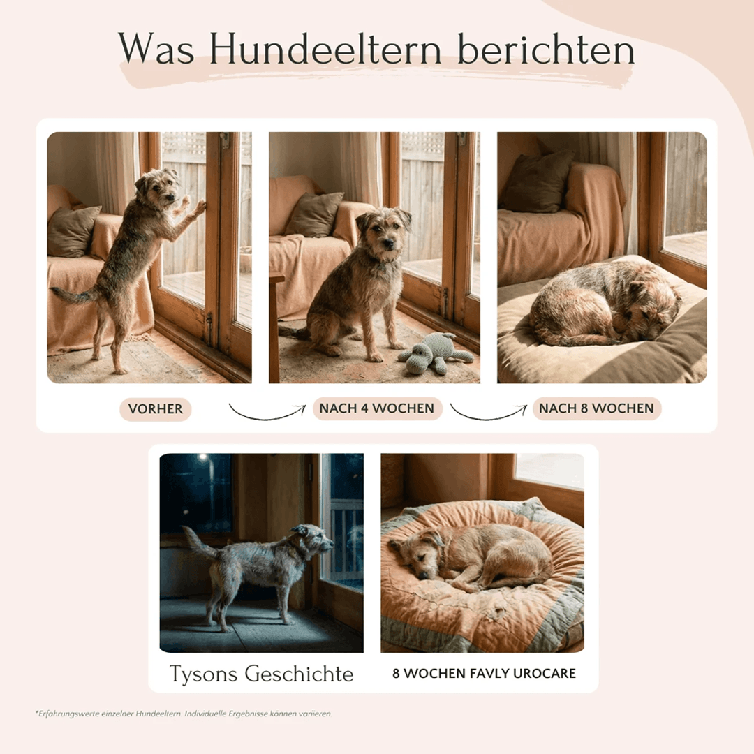 Urocare Pulver für Hunde