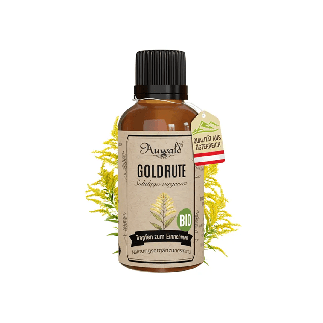 Bio Goldrute Tinktur