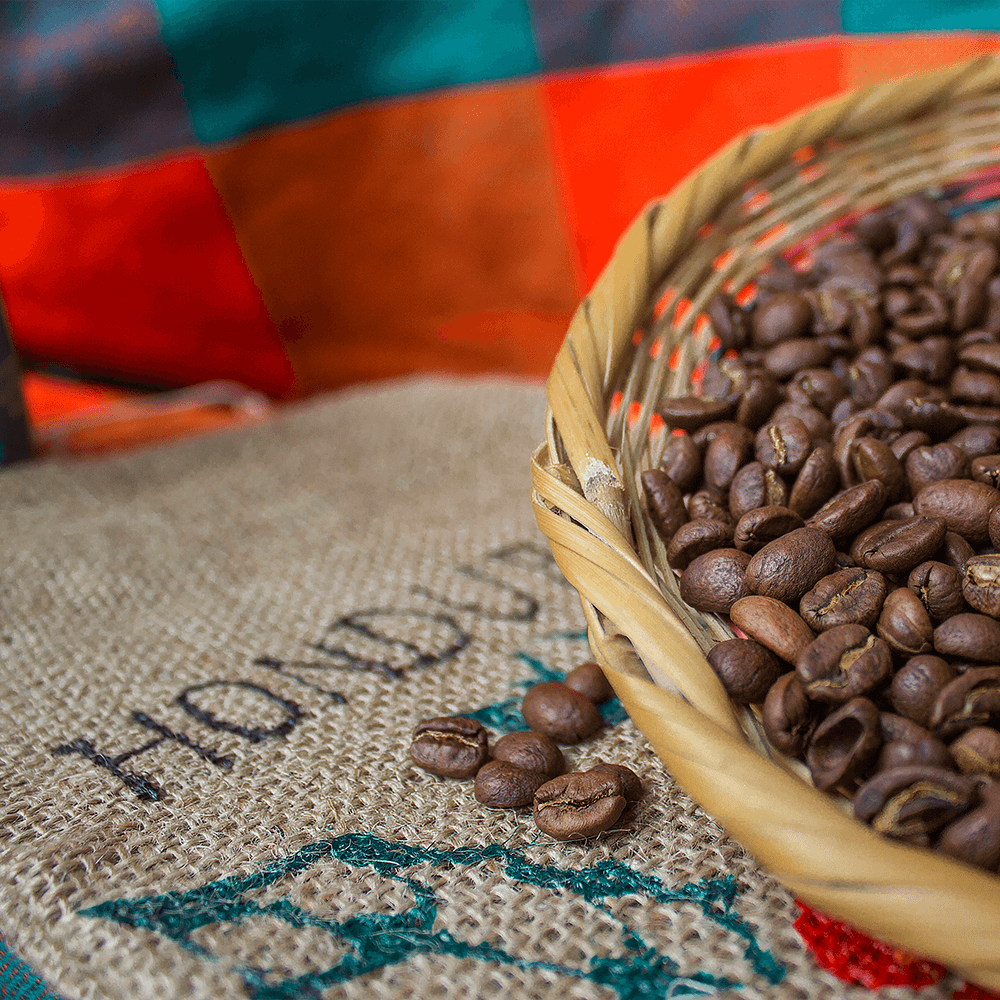 Bio Arabica Röstkaffee „Der Karibische“ aus Honduras