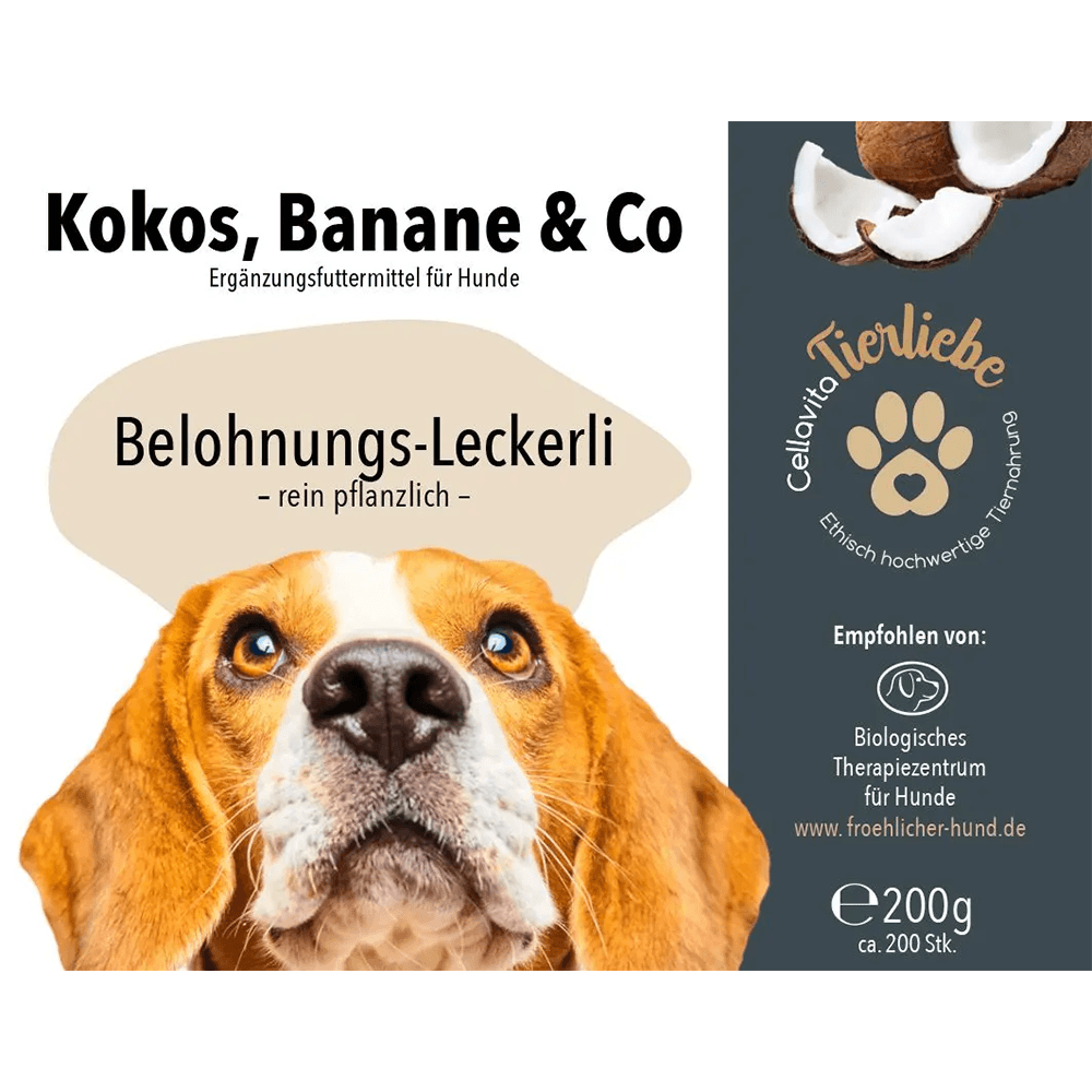 Kokos, Banane & Co Leckerlis für Hunde