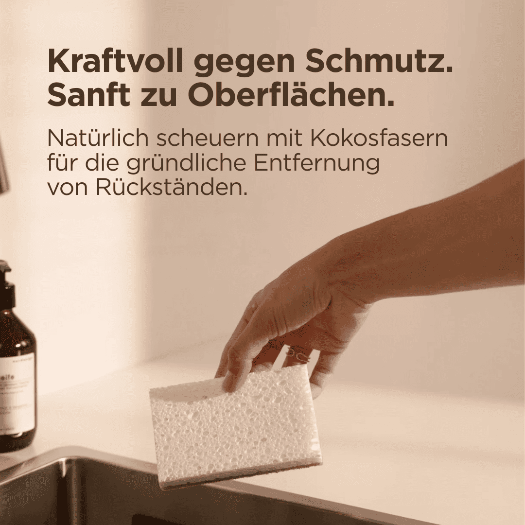 Kokos-Schwamm (2er Set)