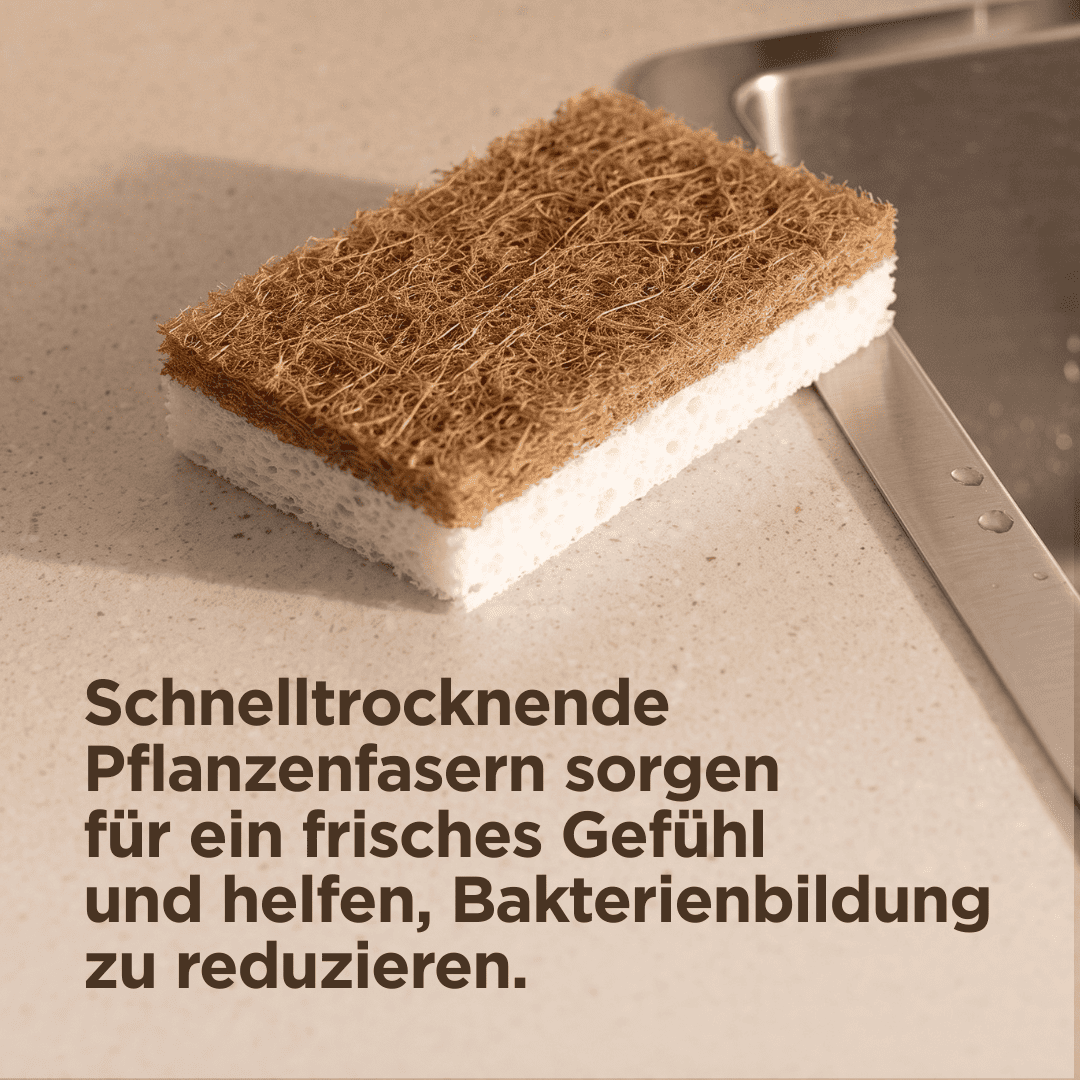 Kokos-Schwamm (2er Set)