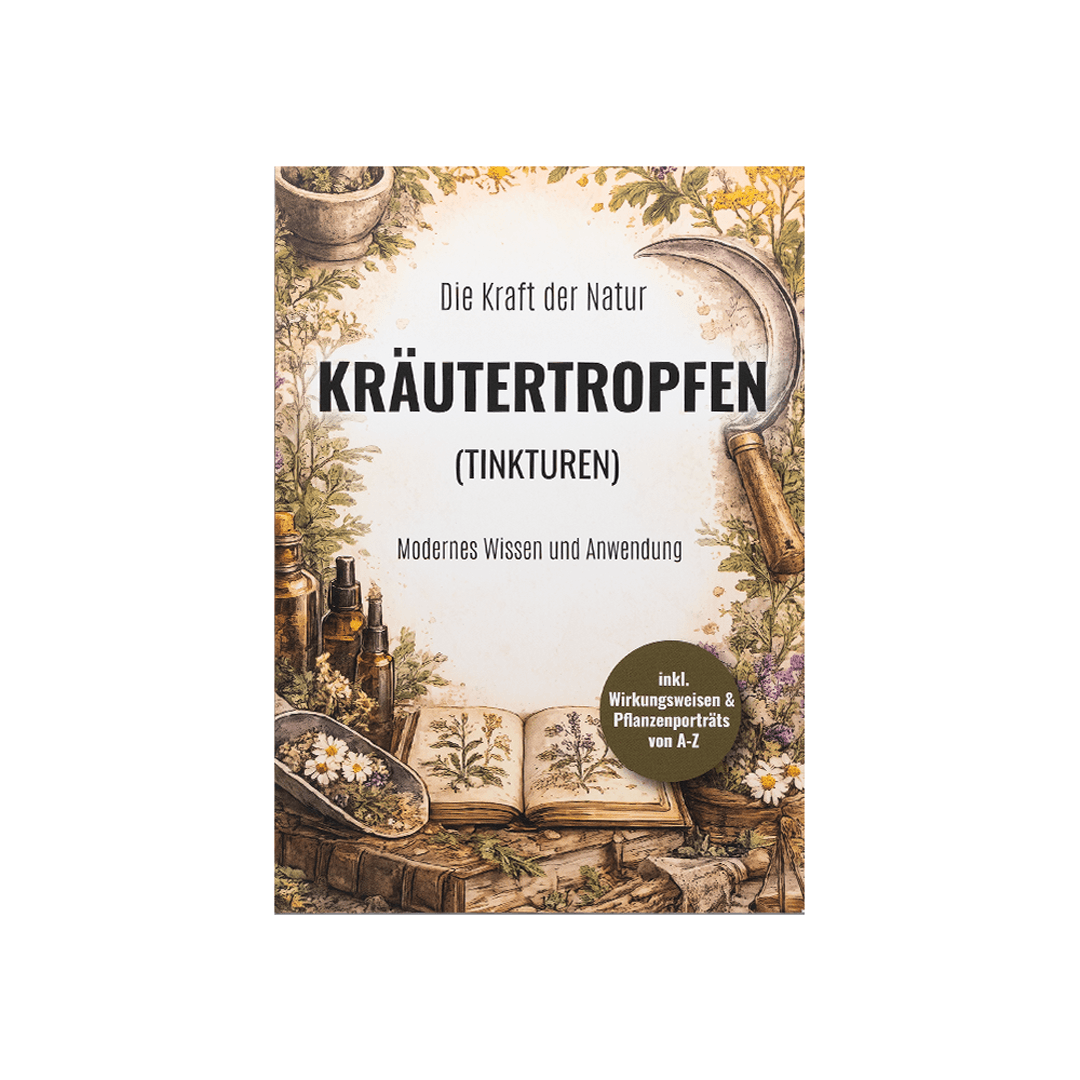 Kräutertropfen (Tinkturen) – Anwendung und Wirkung