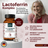 Lactoferrin Komplex Kapseln