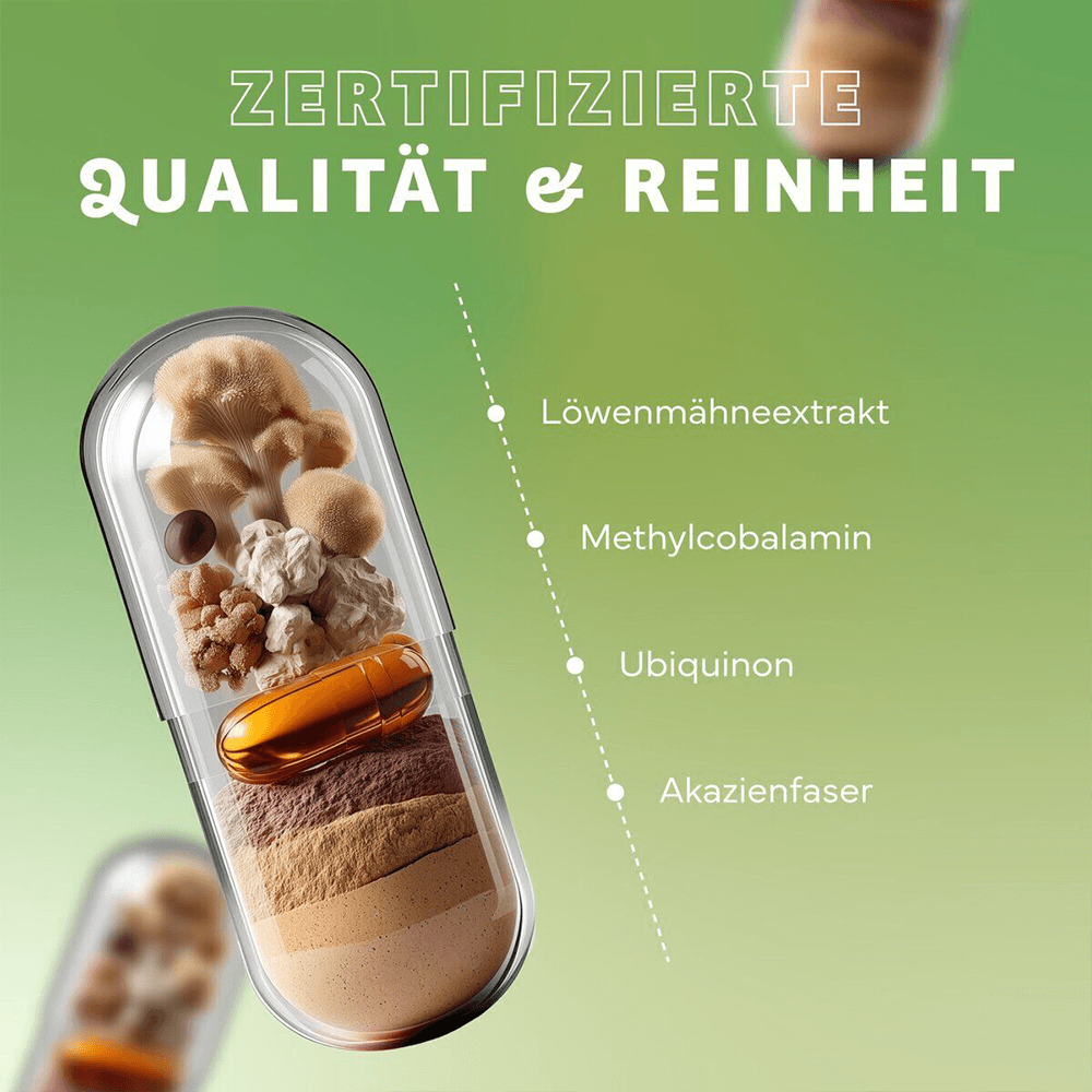 Löwenmähne-Komplex Kapseln mit Löwenmähne-Extrakt, Q10 und B12