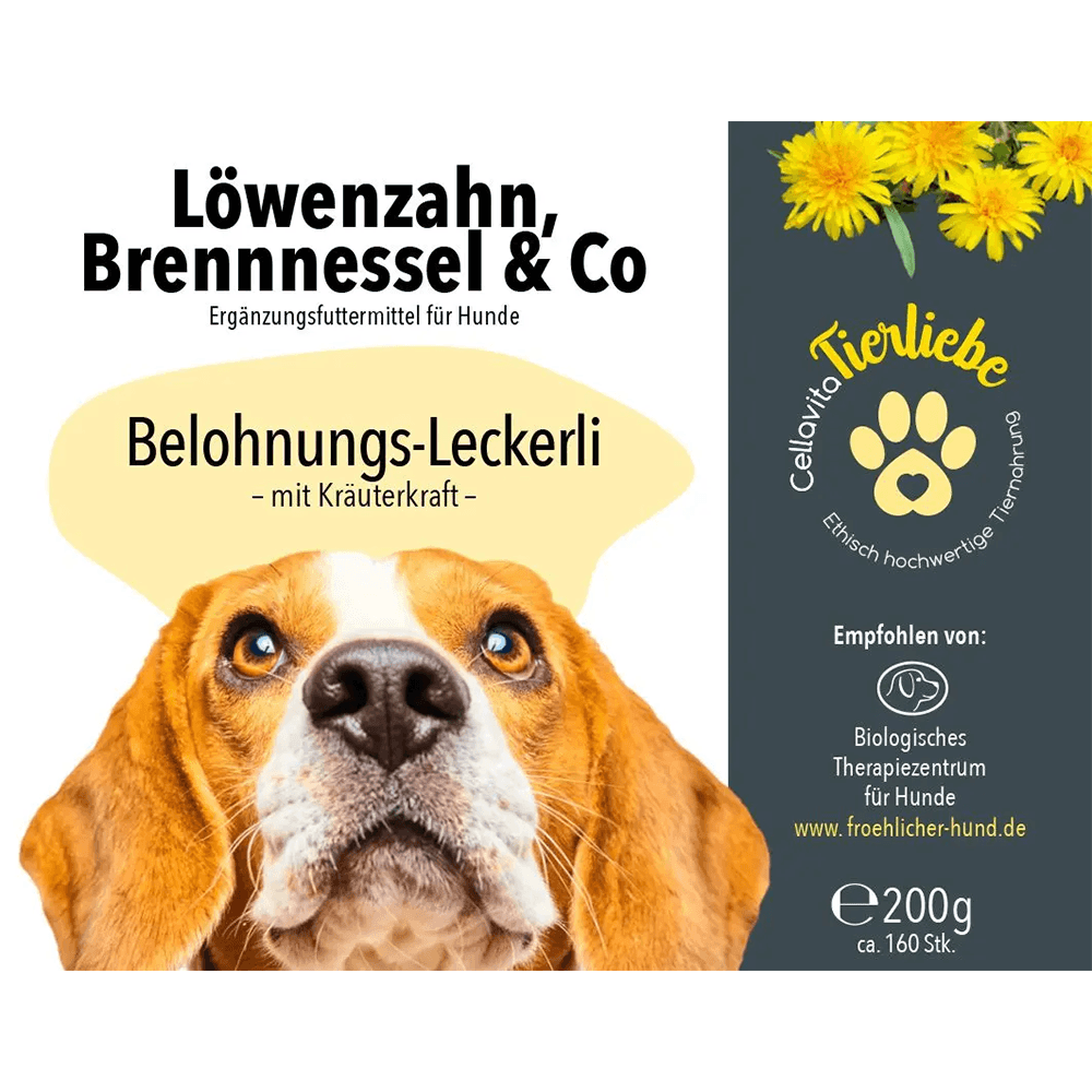 Löwenzahn, Brennnessel & Co Leckerlis für Hunde