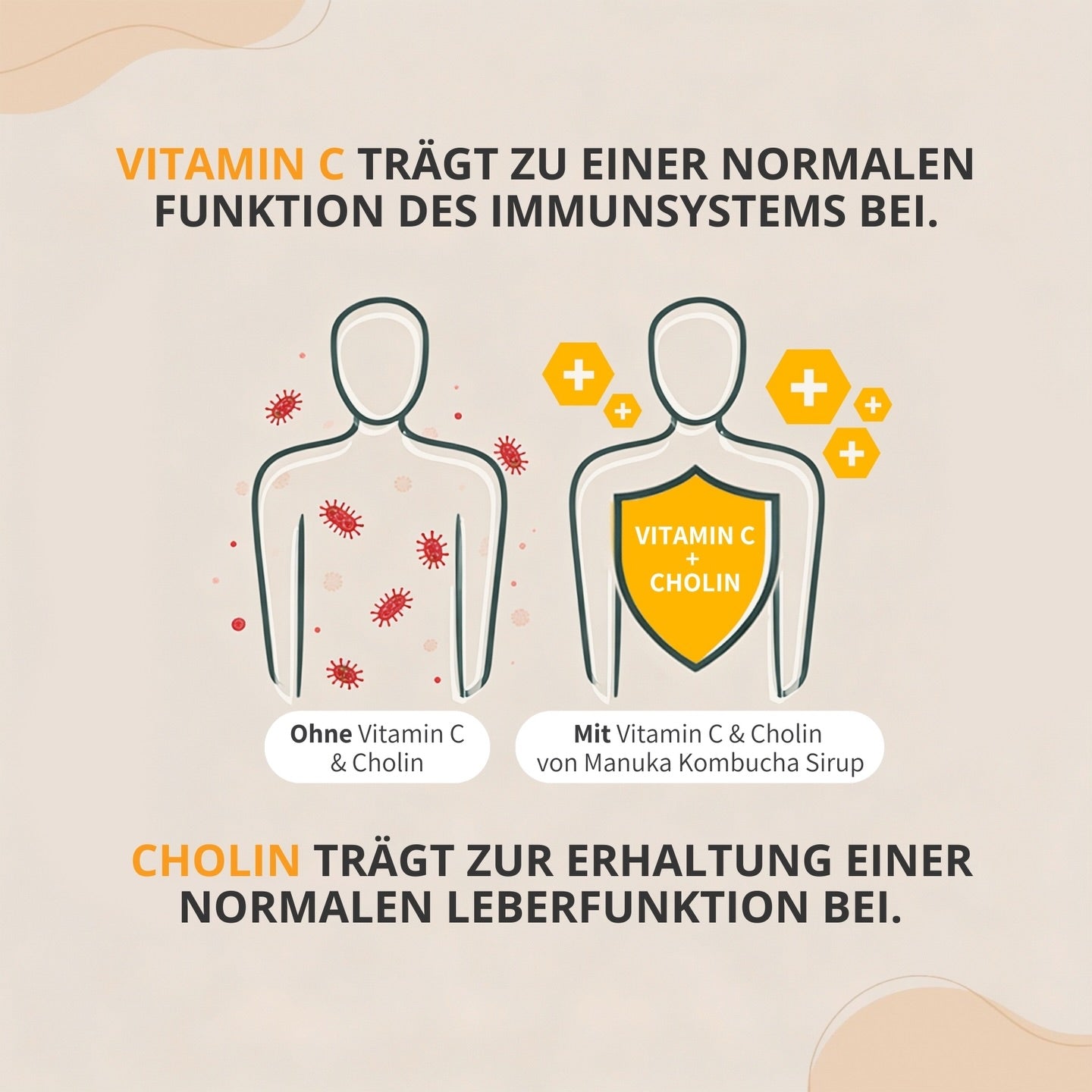 Manuka Kombucha Sirup mit Propolis und feinem Salbeigeschmack