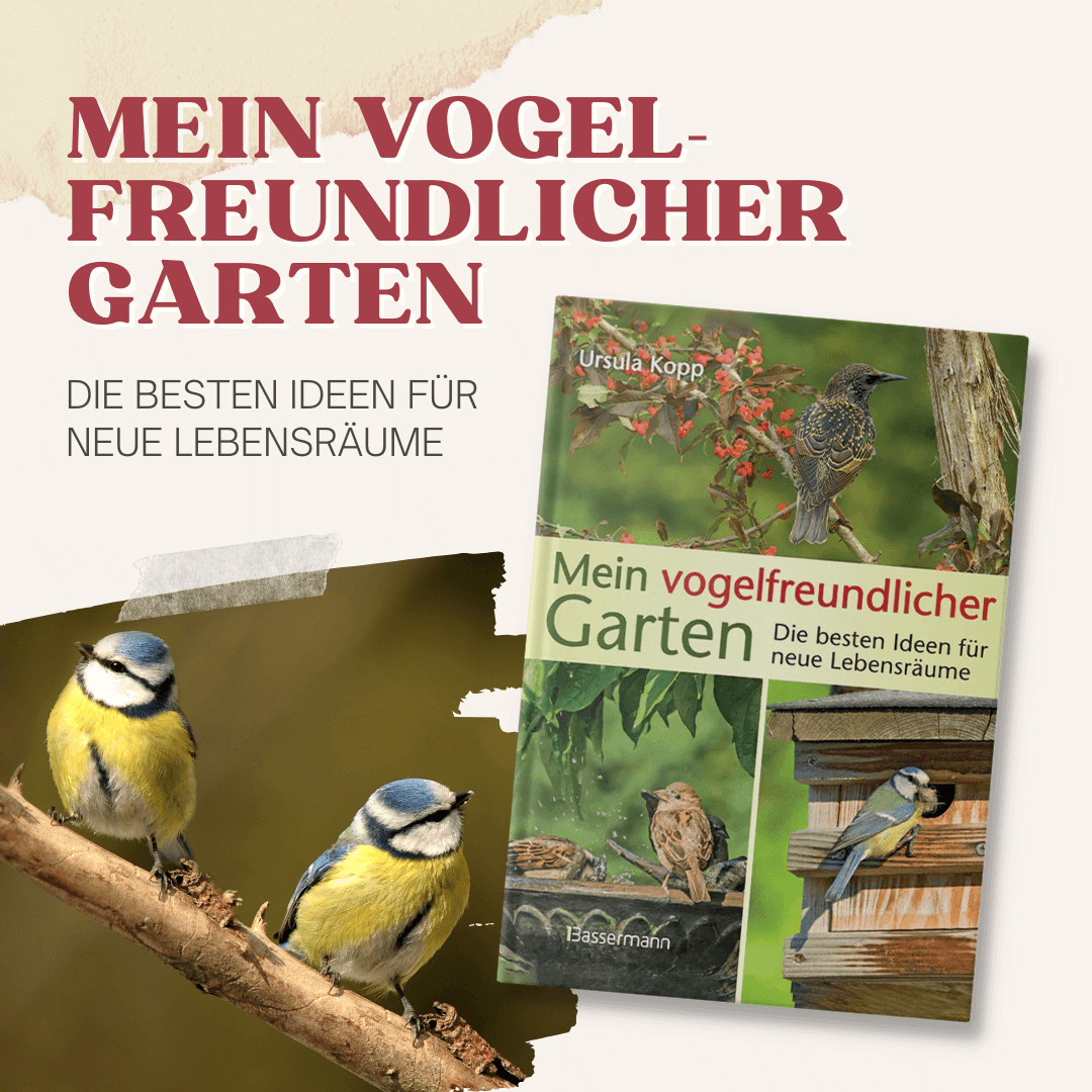 Mein vogelfreundlicher Garten
