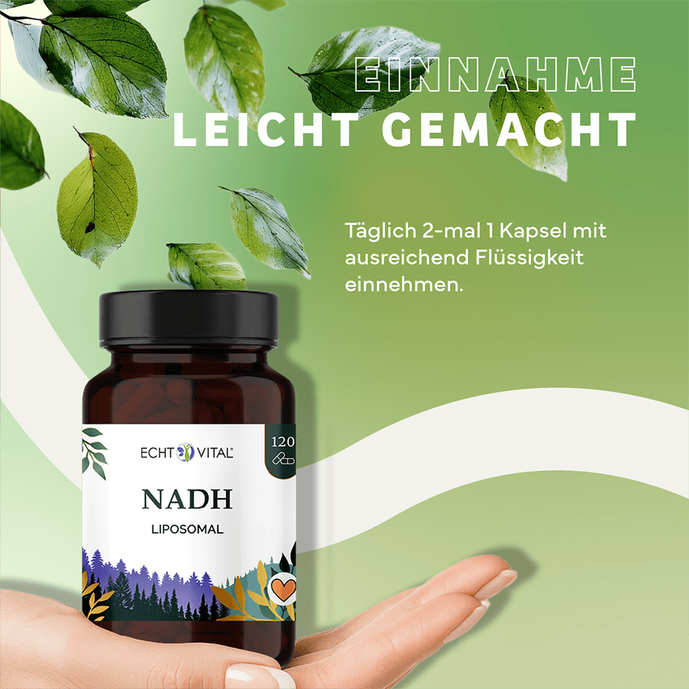 NADH Liposomal Kapseln