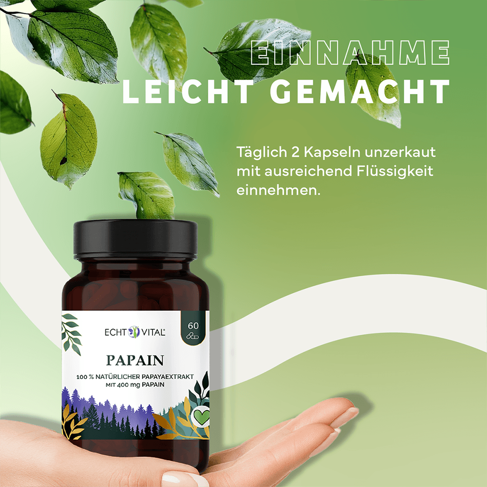 Papain Kapseln aus Papayas