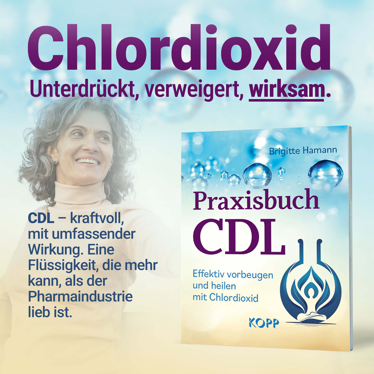 Praxisbuch CDL