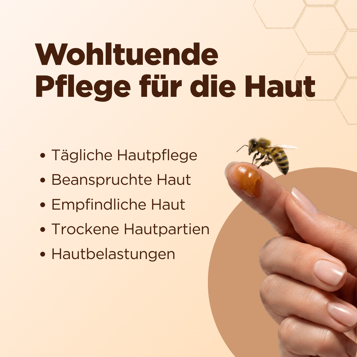 Propolis Cream mit Bienenwachs und Traubenkernöl
