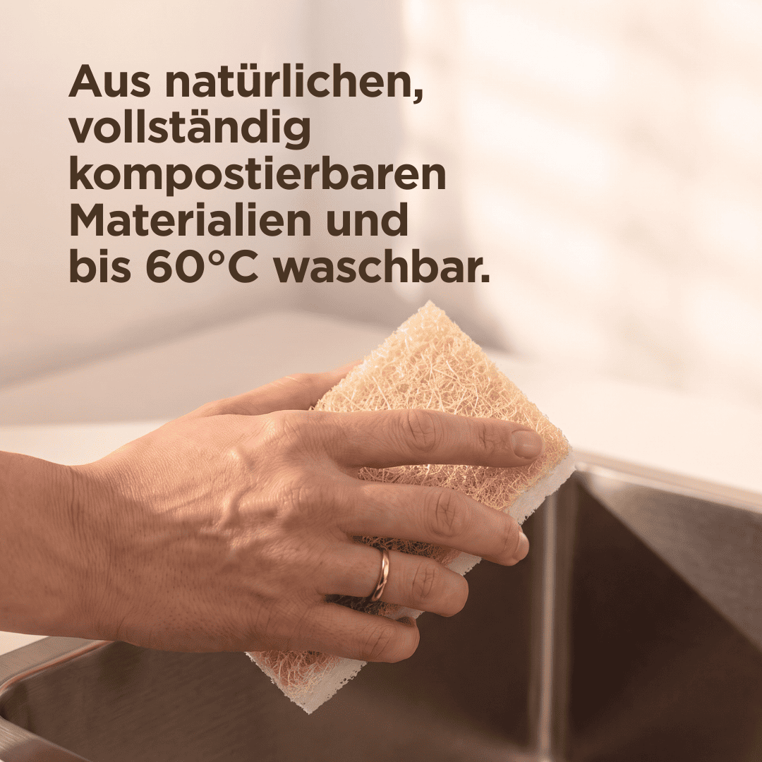 Scheuerschwamm (2er Set)