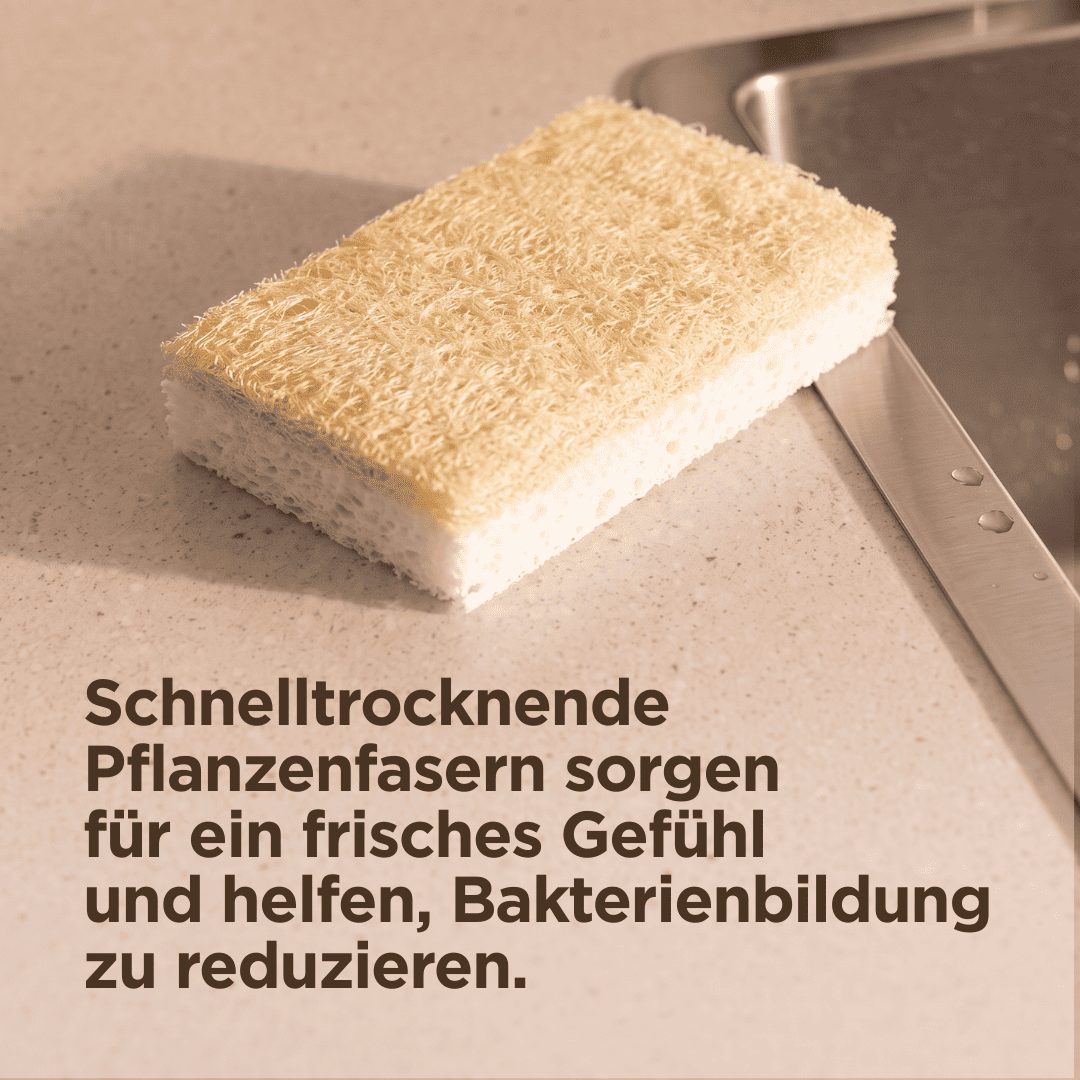 Scheuerschwamm (2er Set)