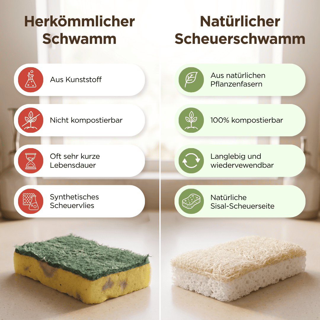 Scheuerschwamm (2er Set)