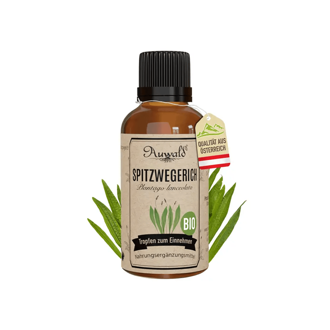 Bio Spitzwegerich Tinktur