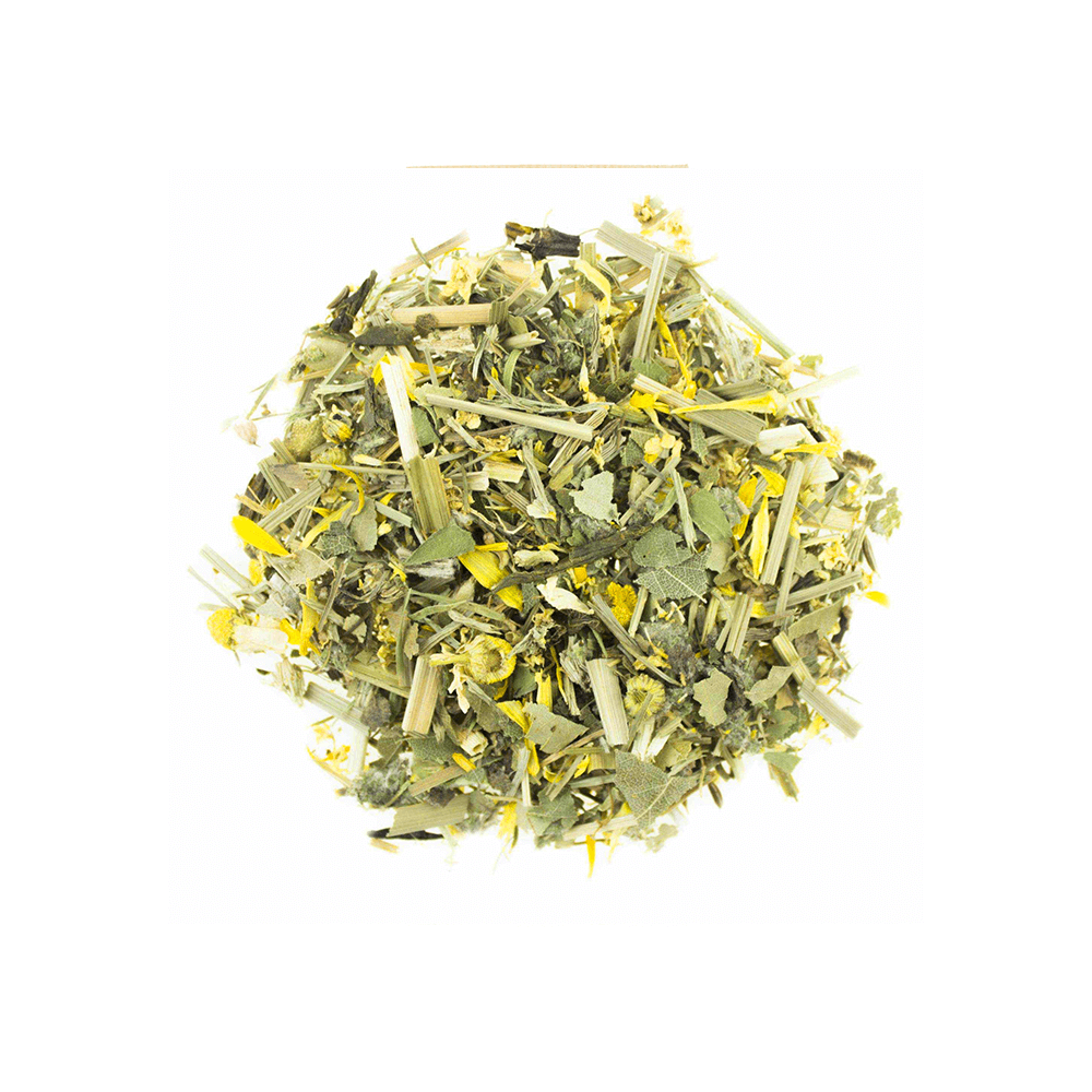 TeeTox Bio Kräuterteemischung