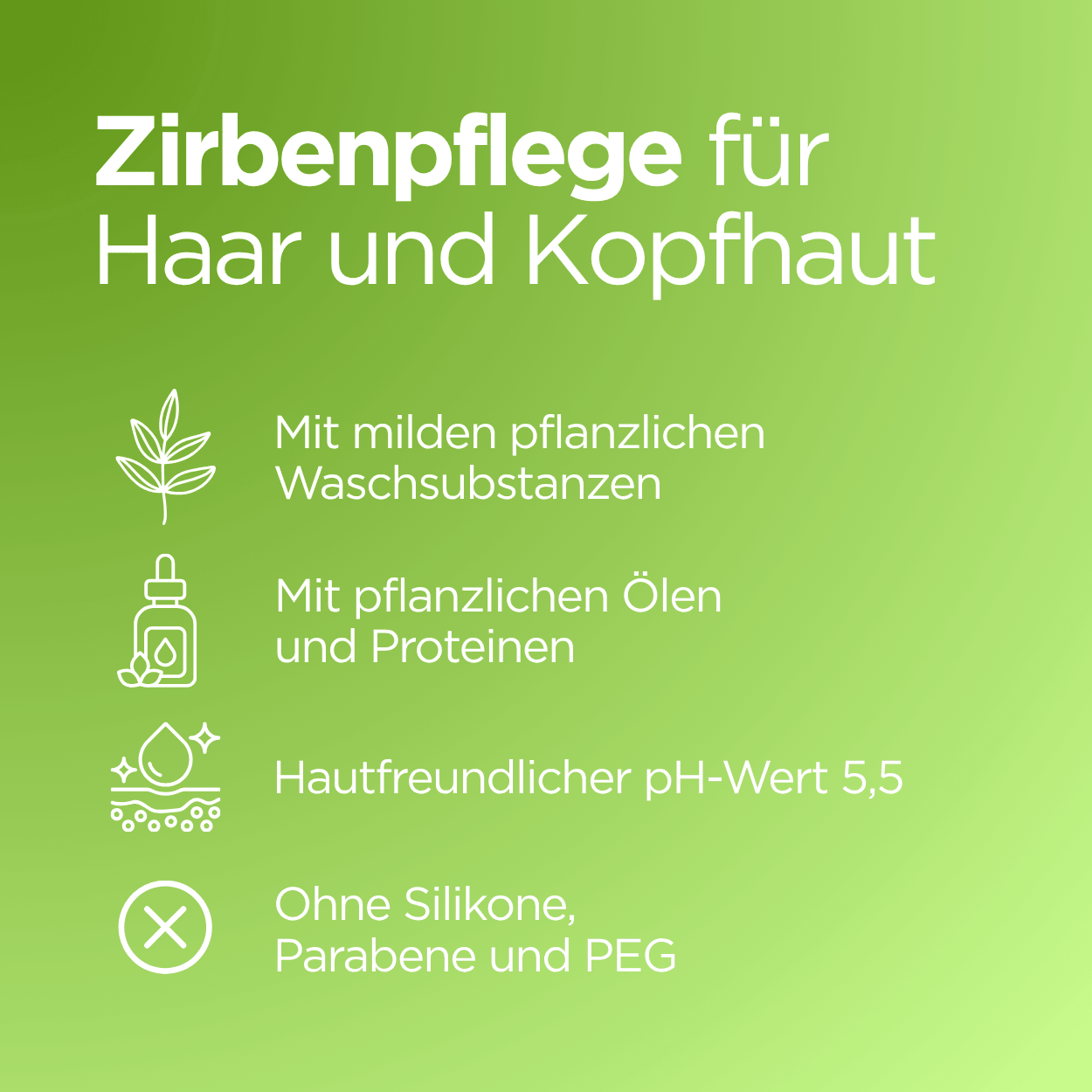 Bio Shampoo mit Zirbenöl