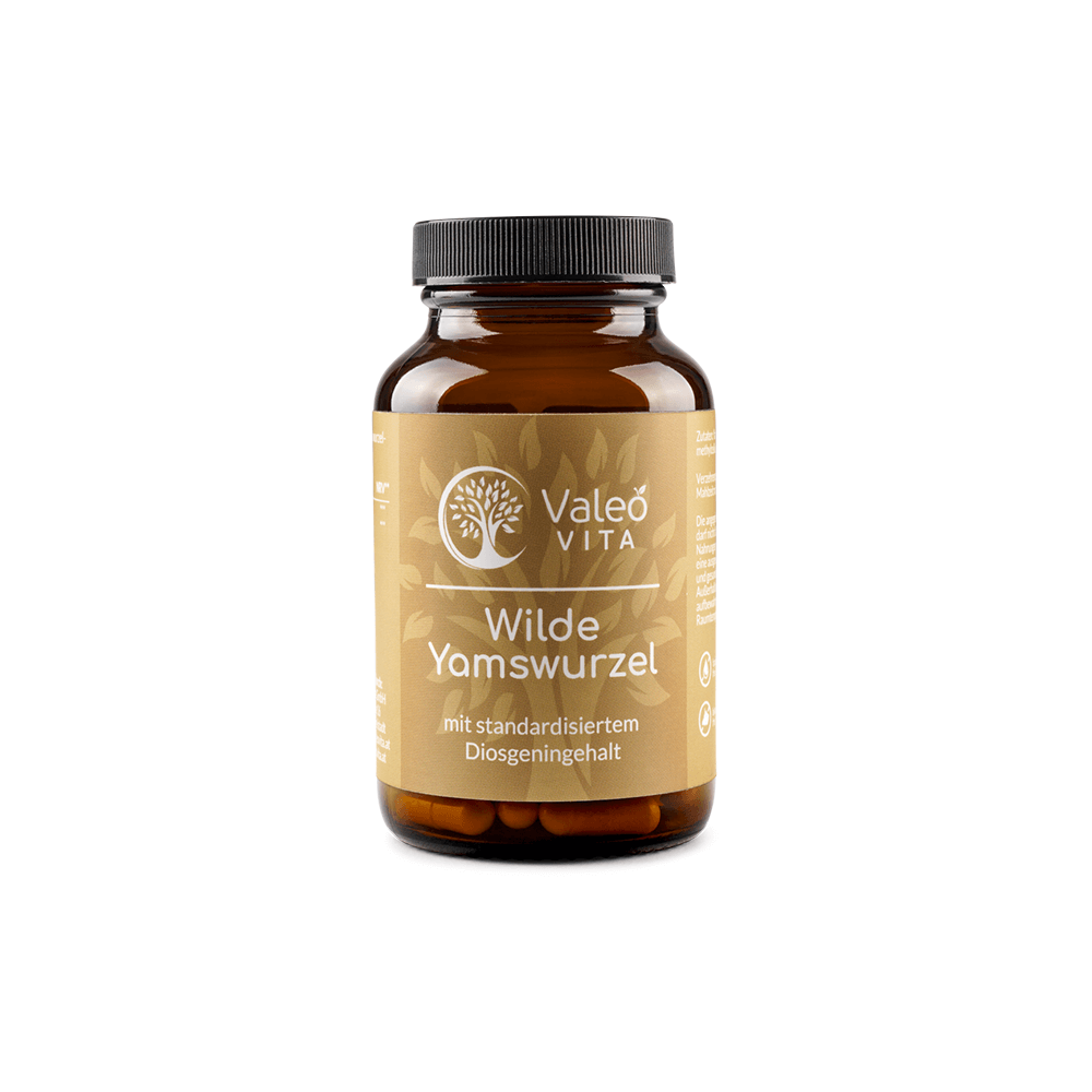 Wilde Yamswurzel Kapseln
