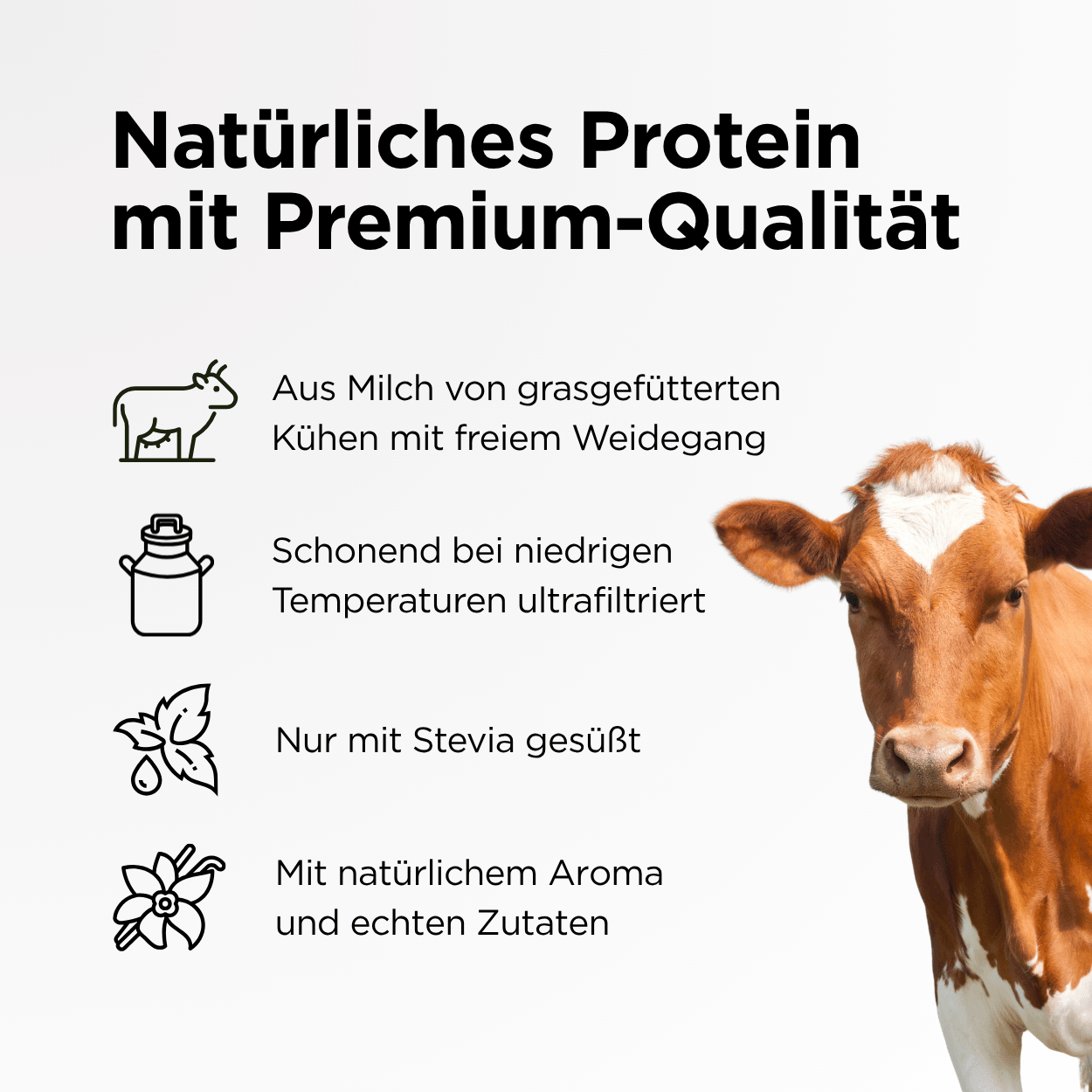 Multi Weidemilch Whey Protein Vanille