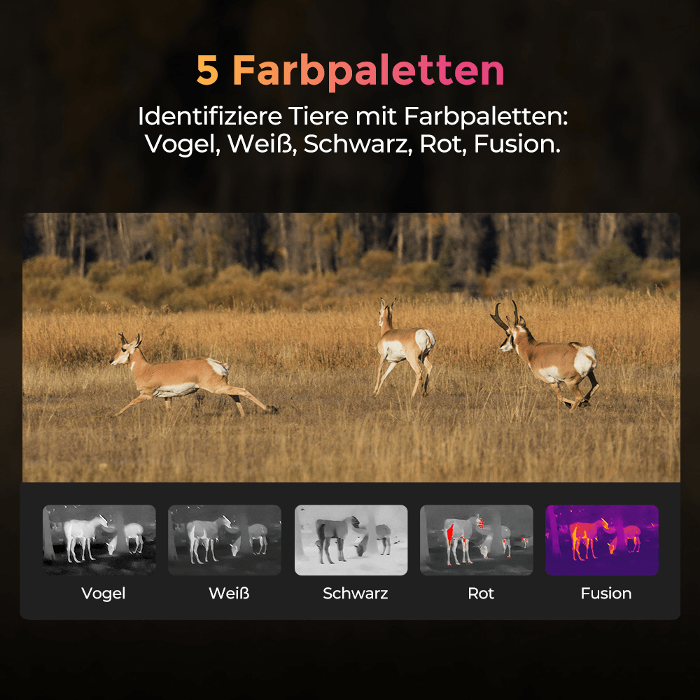 Wärmebildkamera TOPDON TS004