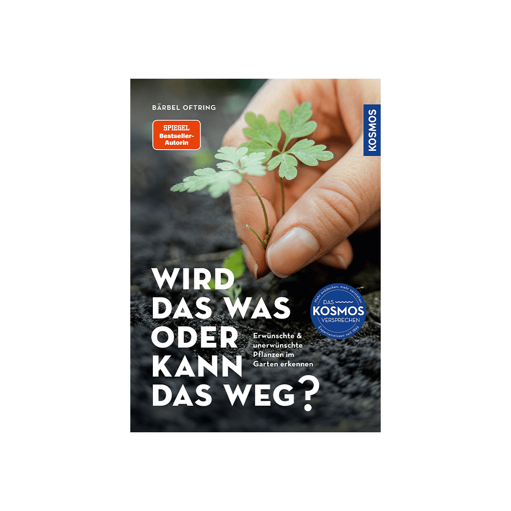 Wird das was oder kann das weg?