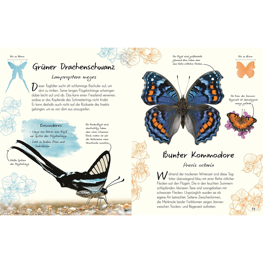Wundervolle Welt – Kleine Schätze. Schmetterlinge