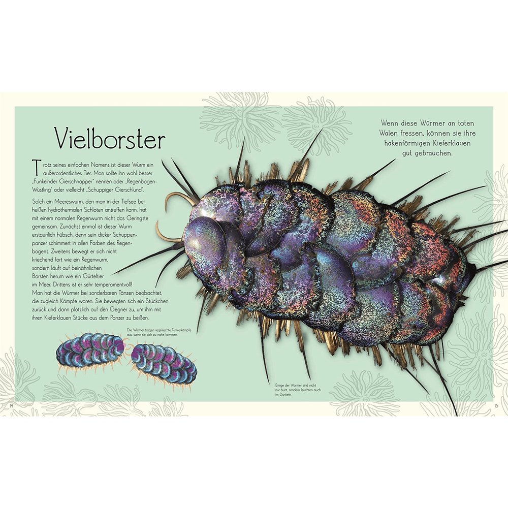 Wundervolle Welt – Wasser