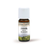 Ätherisches Zirbenöl – 100 % naturrein (10 ml)