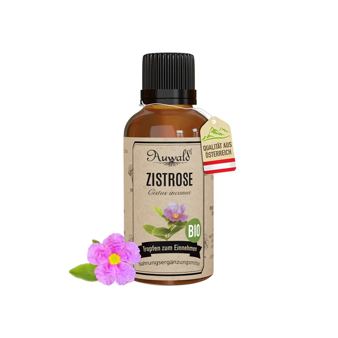 Bio Zistrose Tinktur