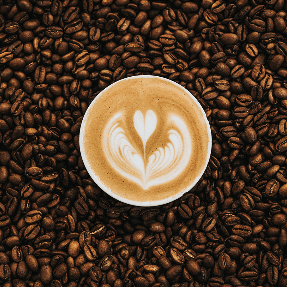 Bio Kaffee Hausmischung